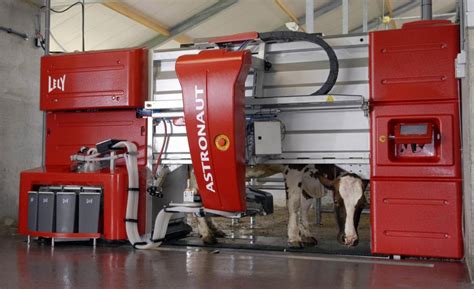 Milking table: Enhancing efficiency in dairy production